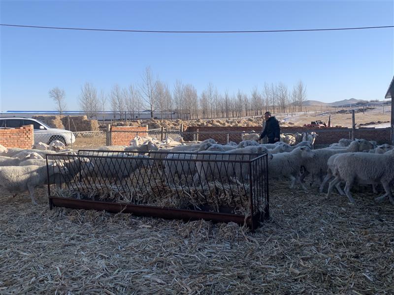 &ldquo;抱團(tuán)&rdquo;謀發(fā)展 合作社&ldquo;錢&rdquo;途無量