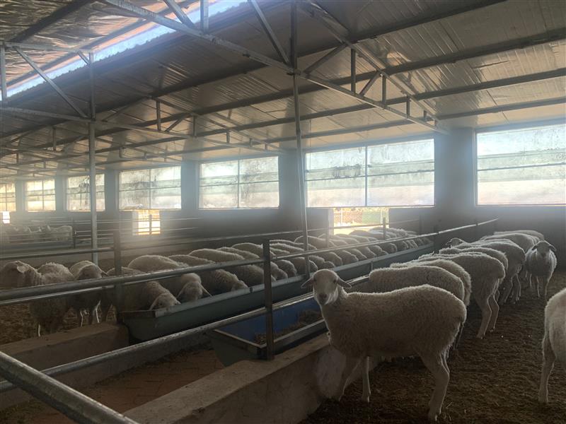 &ldquo;抱團(tuán)&rdquo;謀發(fā)展 合作社&ldquo;錢&rdquo;途無量