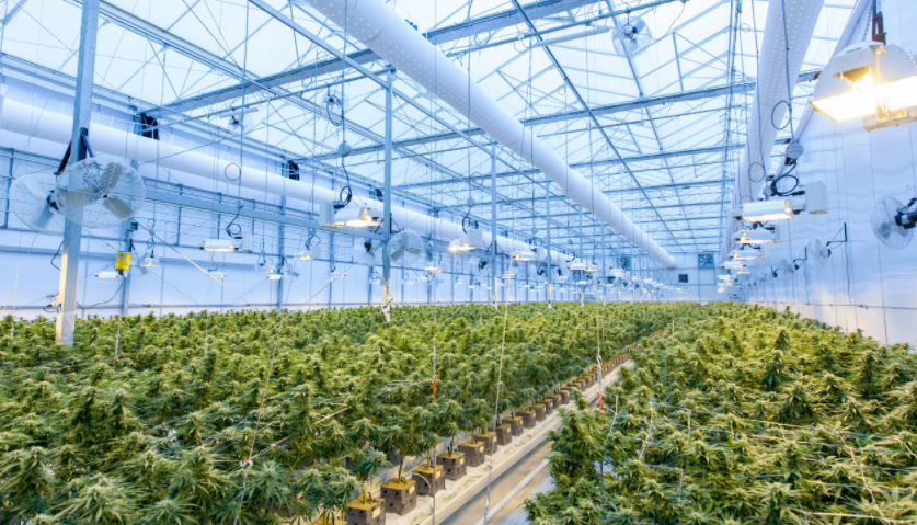 智慧農(nóng)業(yè) &ndash; 桂林山前智能科技有限公司