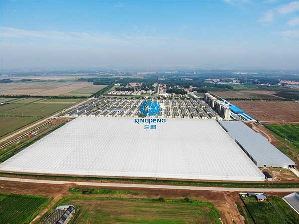 引領行業(yè)技術創(chuàng)新“京鵬智造”結碩果 ——專訪京鵬科技總工程師:周增產(chǎn)