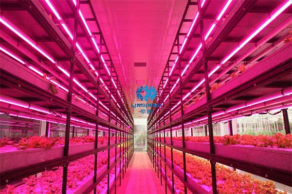 引領行業(yè)技術創(chuàng)新“京鵬智造”結碩果 ——專訪京鵬科技總工程師:周增產(chǎn)