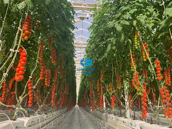 引領行業(yè)技術創(chuàng)新“京鵬智造”結碩果 ——專訪京鵬科技總工程師:周增產(chǎn)