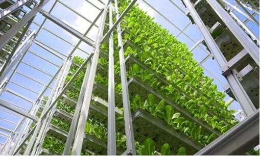 什么是垂直農(nóng)場(chǎng)？垂直農(nóng)場(chǎng)的盈利前景與經(jīng)典案例