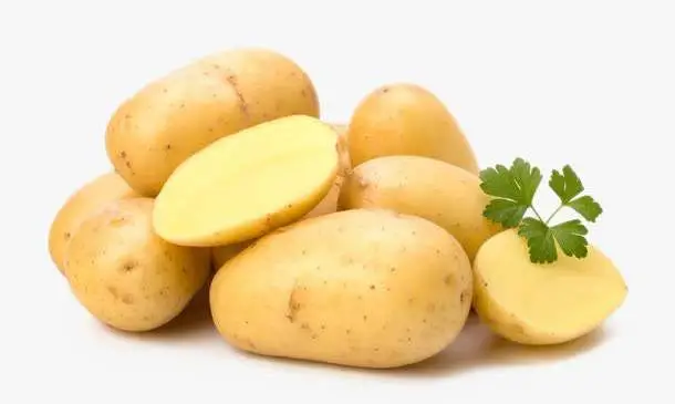 30萬畝種植基地全程機械化&mdash;&mdash;山西&ldquo;土豆革命&rdquo;行動方案發布