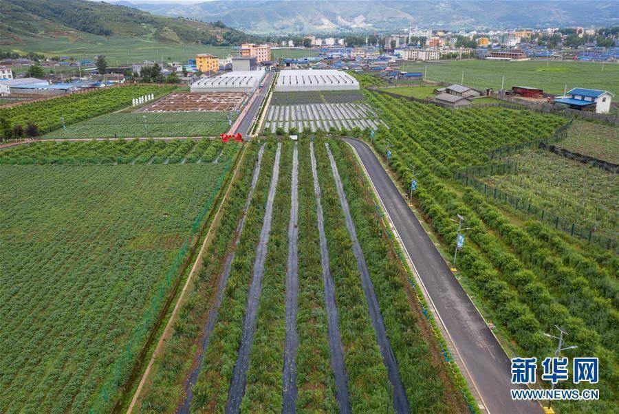 農(nóng)業(yè)農(nóng)村部:2025年農(nóng)業(yè)科技進(jìn)步貢獻(xiàn)率達(dá)到64%