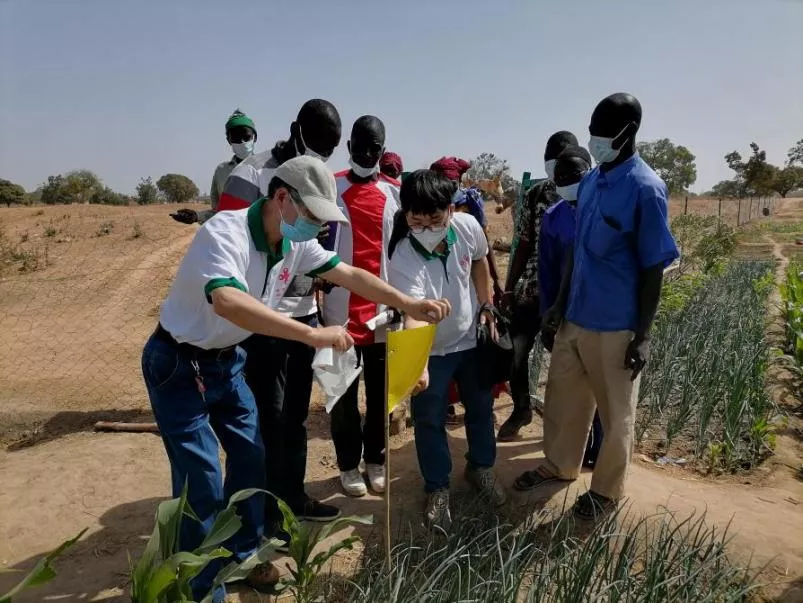 糧食產量高，生活有余裕&mdash;&mdash;中國專家在布開展水稻高產競賽和蔬菜種植培訓
