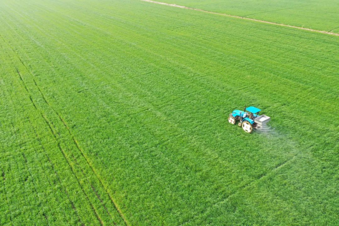 俄烏沖突攪動(dòng)國際糧食市場(chǎng)