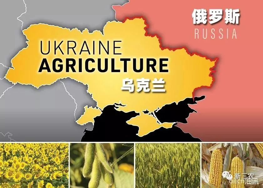 俄烏沖突啟示：誰控制小麥，誰就控制了世界