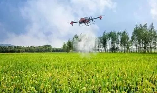 農(nóng)業(yè)農(nóng)村部信息中心主任王小兵:農(nóng)產(chǎn)品電商發(fā)展迅速 農(nóng)村數(shù)字治理機(jī)制正在形成