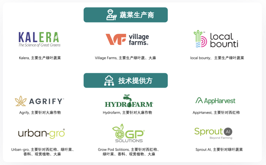 垂直農業,一個可持續的未來?