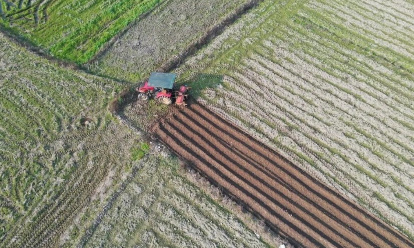 2022耕地地力保護補貼各地新標準，一畝補多少錢？速看