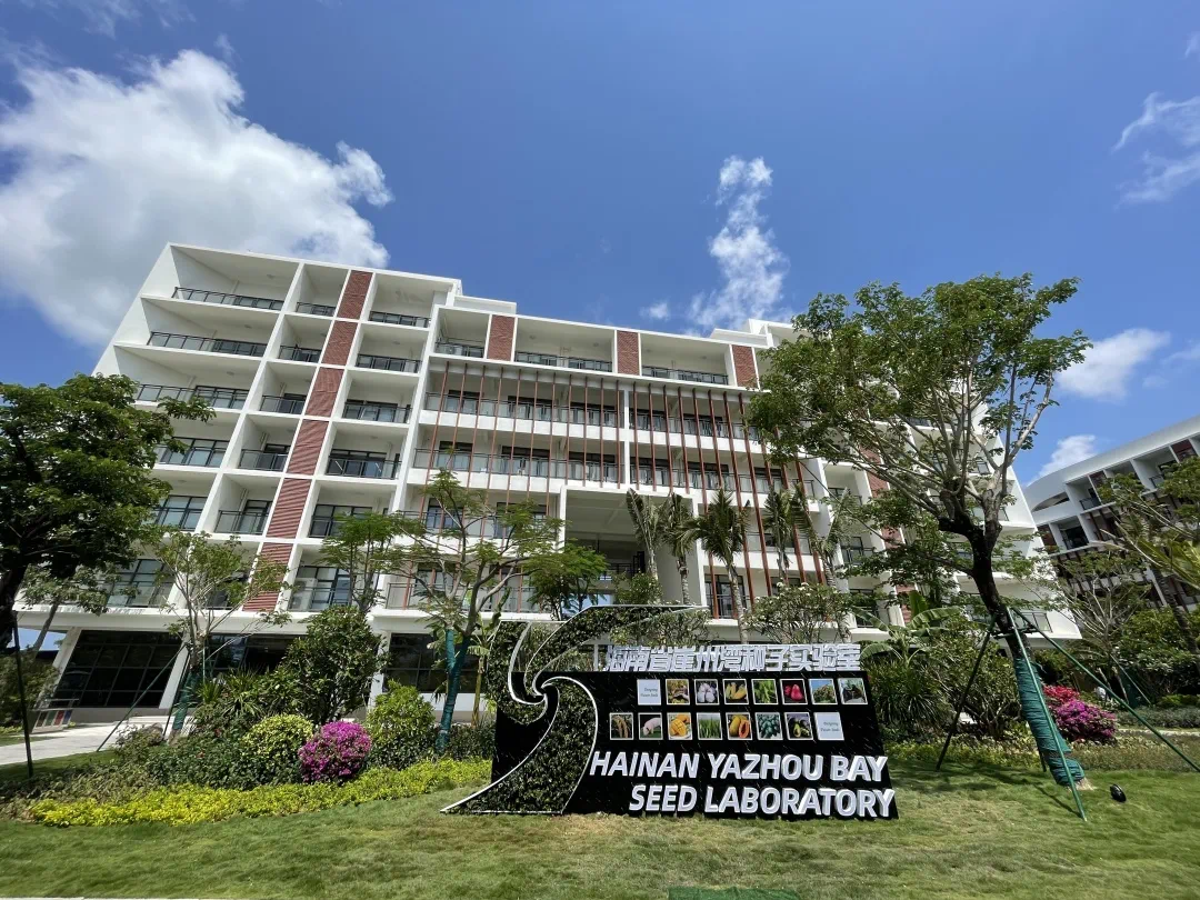 深度透視！農(nóng)業(yè)“芯片”：中國(guó)種子戰(zhàn)略