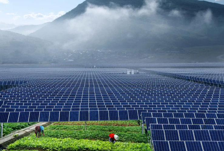 光伏農(nóng)業(yè)：政策利好，鄉(xiāng)村振興加速器，但商業(yè)模式有待升級(jí)