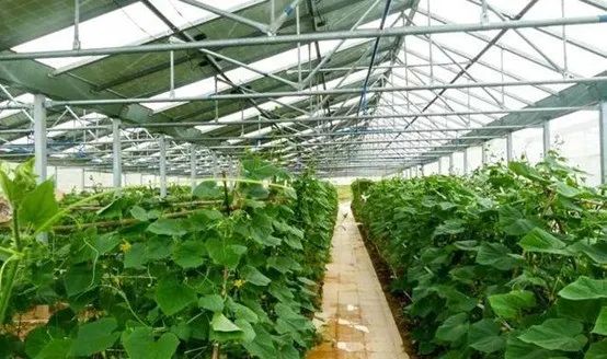 光伏農(nóng)業(yè)：政策利好，鄉(xiāng)村振興加速器，但商業(yè)模式有待升級(jí)