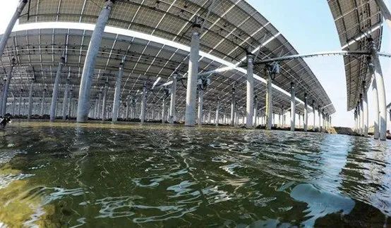 光伏農(nóng)業(yè)：政策利好，鄉(xiāng)村振興加速器，但商業(yè)模式有待升級(jí)