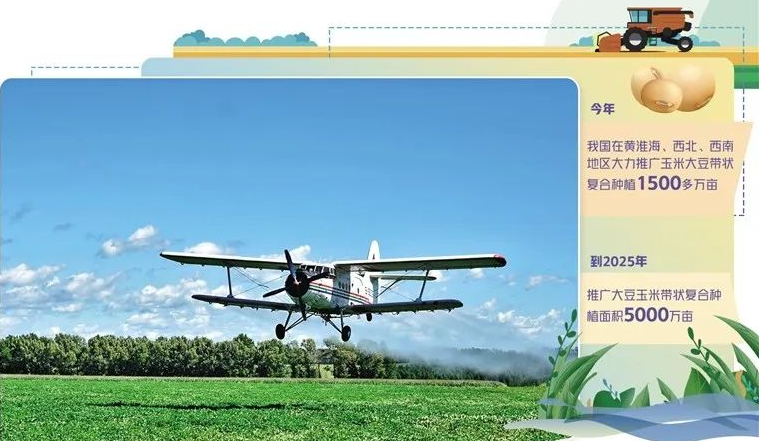 大豆玉米復合種植亟待加大適用機具研發 大豆玉米復合種植亟待加大適用機具研發