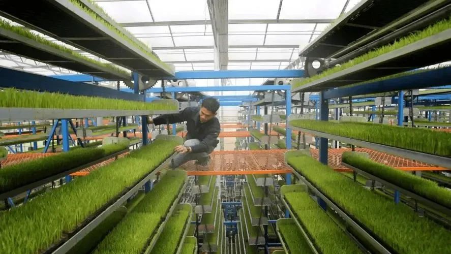 農業農村部敲定!這些智能農機應用,加快推進! 農業農村部敲定!這些智能農機應用,加快推進!