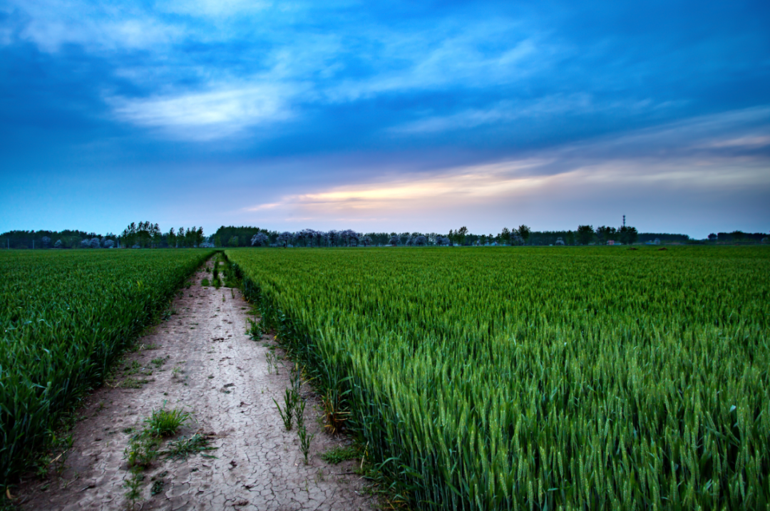 中國農業領域投資的全新模式，這一省份打造了全國新標桿！