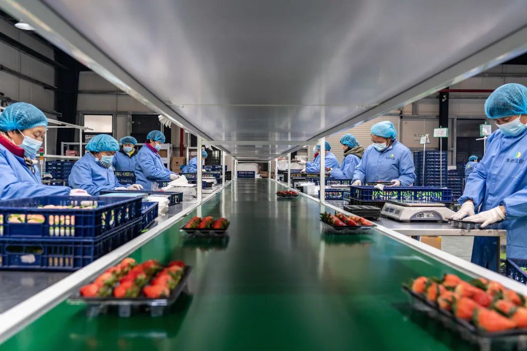 南京市溧水區:打造“三品一標”金招牌 鋪就農民致富幸福路 南京市溧水區:打造“三品一標”金招牌 鋪就農民致富幸福路