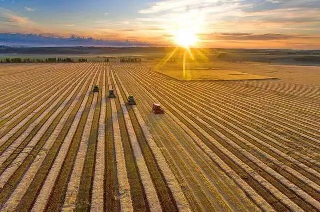 陳文勝：中國(guó)農(nóng)業(yè)現(xiàn)代化的基本趨勢(shì)與未來(lái)任務(wù)