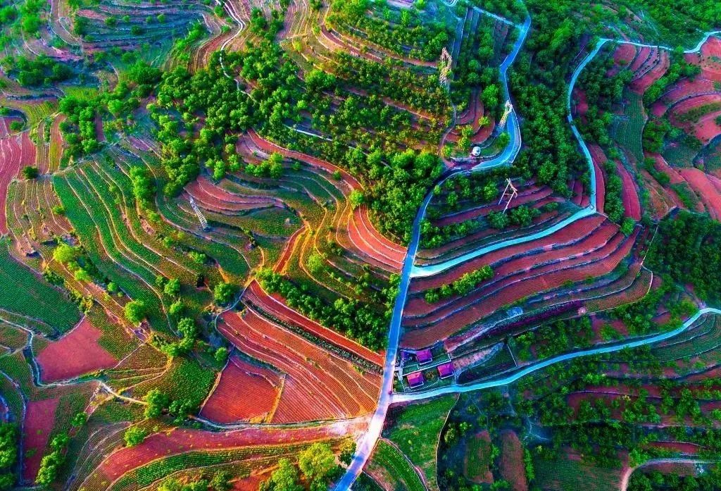 農(nóng)業(yè)全產(chǎn)業(yè)鏈建設是重塑農(nóng)業(yè)競爭力的關鍵之舉