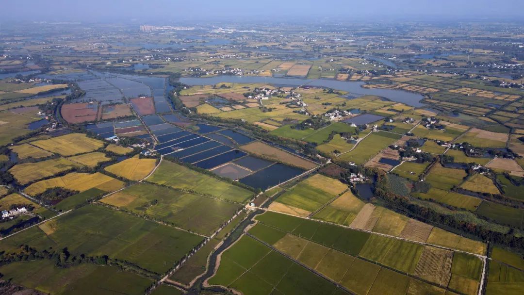 農(nóng)民日?qǐng)?bào)仲農(nóng)平文章：日出東方 農(nóng)道大光