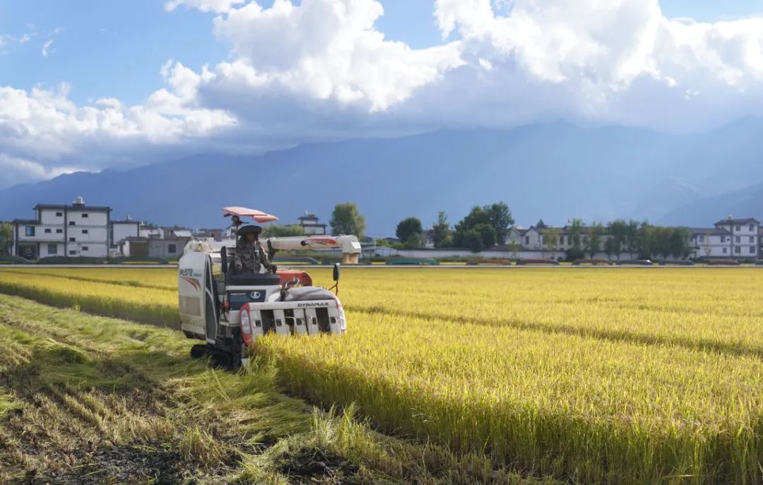農(nóng)民日?qǐng)?bào)仲農(nóng)平文章：日出東方 農(nóng)道大光