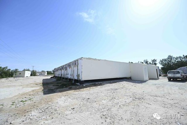 在沙漠里種菜？中國蔬菜走進(jìn)世界杯