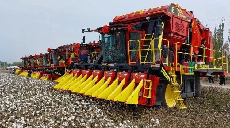 進(jìn)口采棉機(jī)曾受?chē)?guó)外斷供，國(guó)產(chǎn)化替代讓中國(guó)棉農(nóng)挺起脊梁