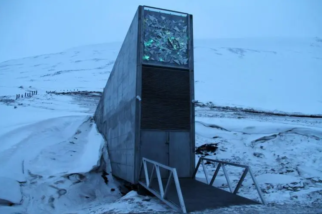 種子庫，守護全球生物多樣性