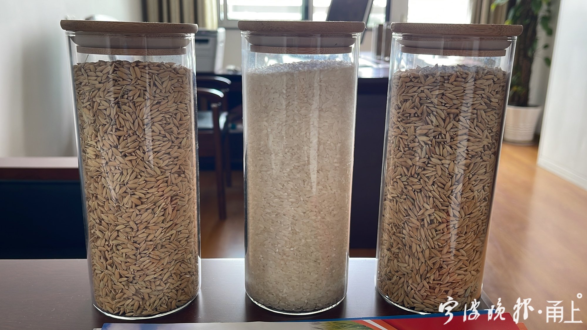 農(nóng)業(yè)農(nóng)村部:兩年來清理“仿種子”問題品種829個(gè) 農(nóng)業(yè)農(nóng)村部:兩年來清理“仿種子”問題品種829個(gè)