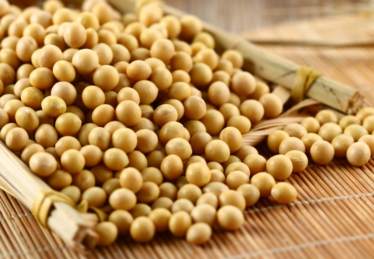 充分發(fā)揮大豆在我國食物系統(tǒng)中的獨(dú)特價值 充分發(fā)揮大豆在我國食物系統(tǒng)中的獨(dú)特價值