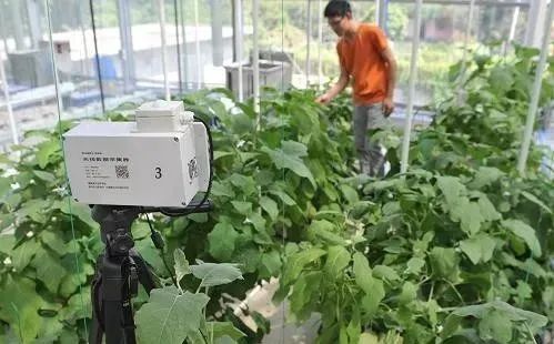 【農(nóng)業(yè)模式】農(nóng)產(chǎn)品銷售創(chuàng)新點(diǎn)在哪里？十種新模式助力未來(lái)農(nóng)業(yè)