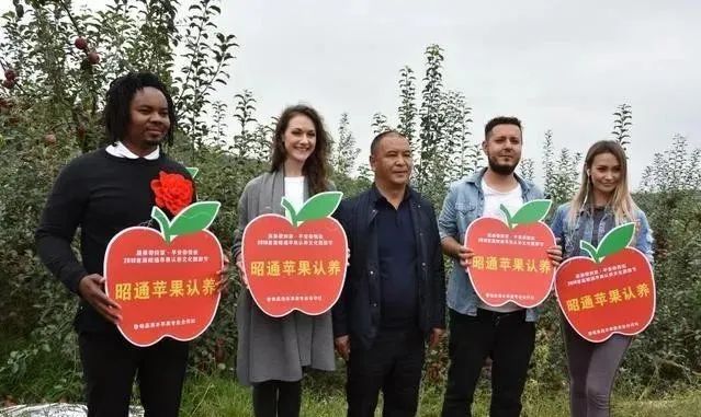 【農(nóng)業(yè)模式】農(nóng)產(chǎn)品銷售創(chuàng)新點(diǎn)在哪里？十種新模式助力未來(lái)農(nóng)業(yè)