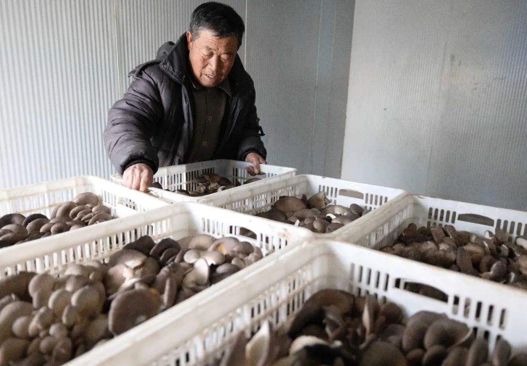 現(xiàn)代農(nóng)業(yè)產(chǎn)業(yè)園，如何撬動3800多億元社會投資？