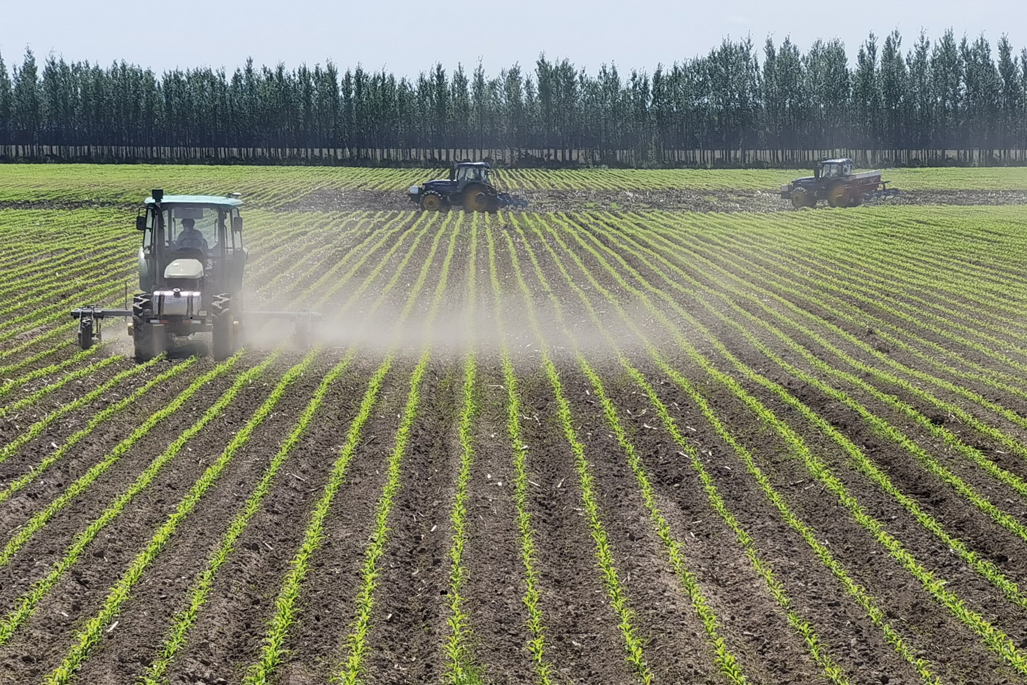 節糧減損,北大荒踏實做好第一步 節糧減損,北大荒踏實做好第一步