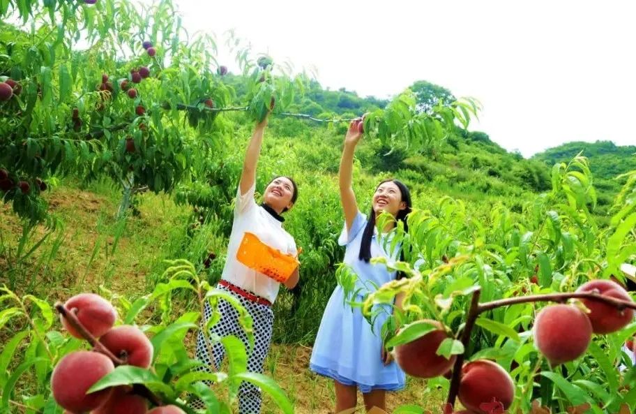 打好休閑農(nóng)業(yè)“差異牌”